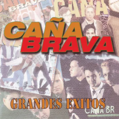 Caña Brava