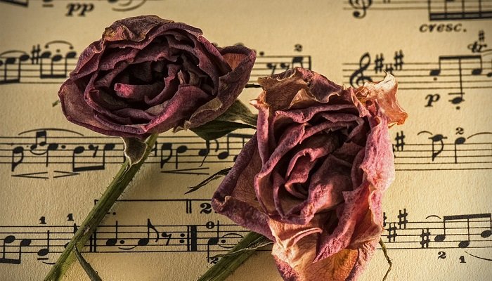Figuras teor&iacute;a de la m&uacute;sica para principiantes