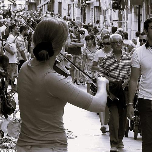 Violín