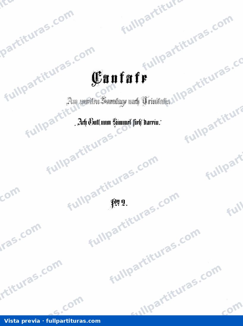 Ach Gott, vom Himmel sieh darein — preview