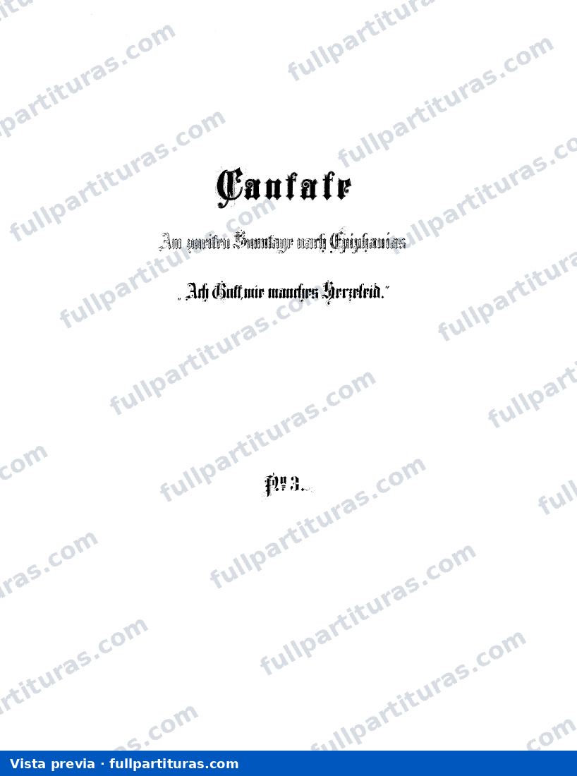 Ach Gott, wie manches Herzeleid — preview