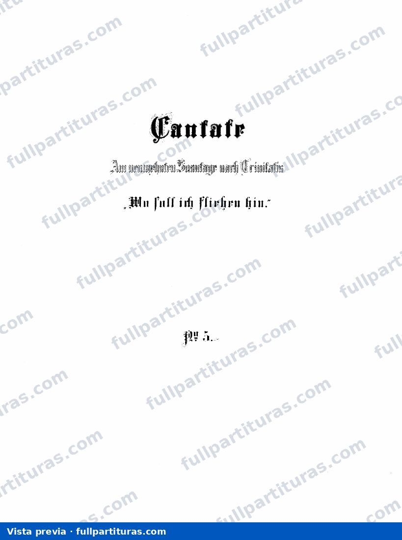 Wo soll ich fliehen hin — preview