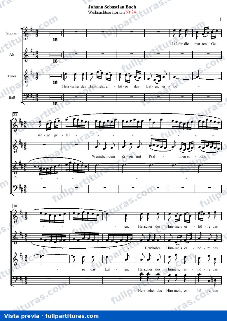 Oratorio de Navidad 24 — preview