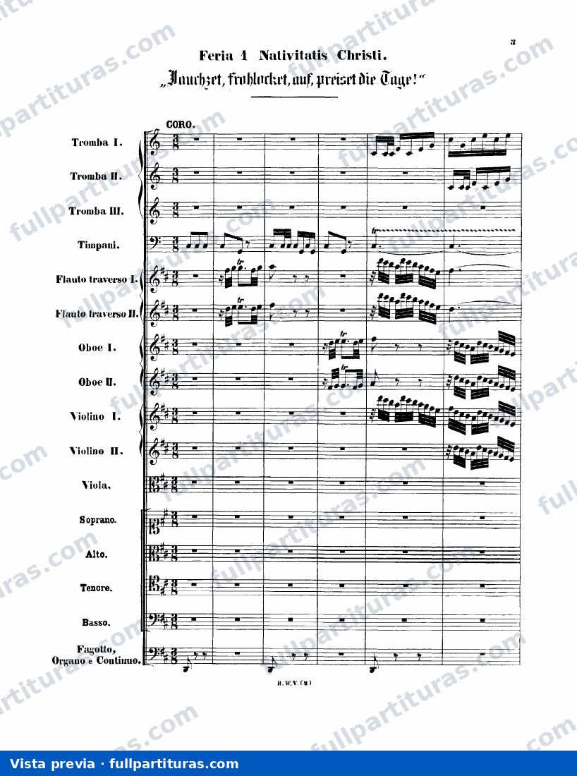 Oratorio de Navidad con acc. Orquesta — preview