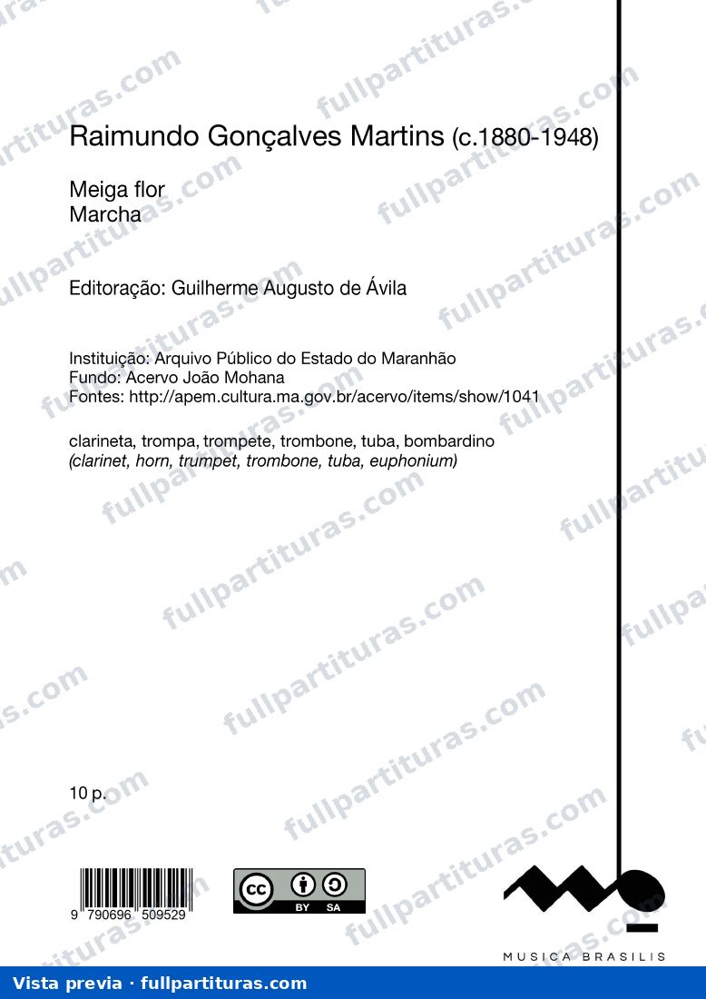 Meiga flor — preview