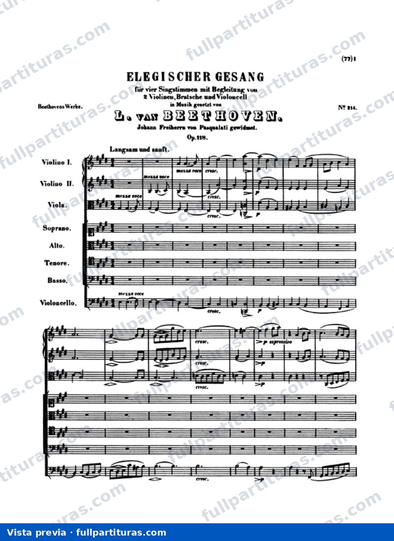 Cinco Arias con Orquesta: Elegischer Gesang — preview