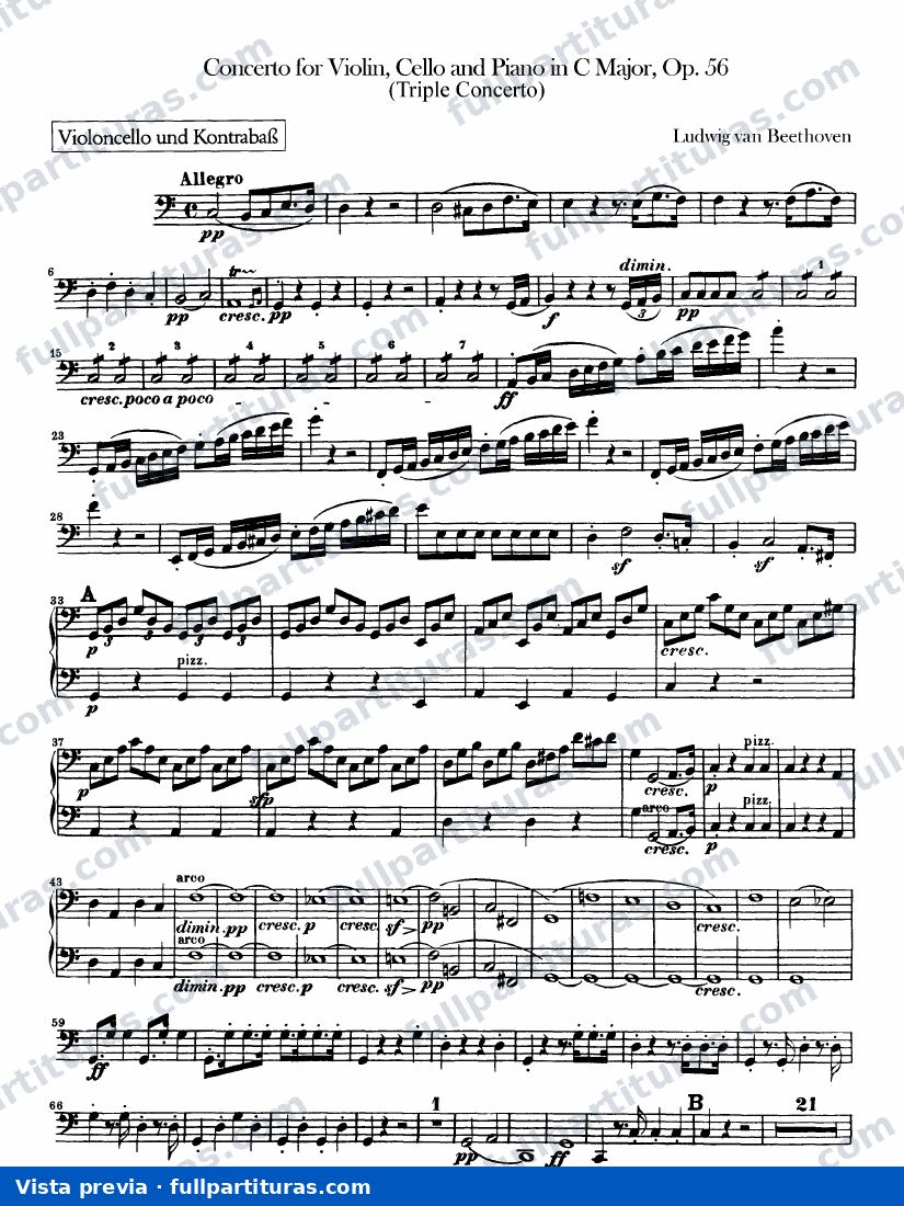 Partichella violoncello — preview