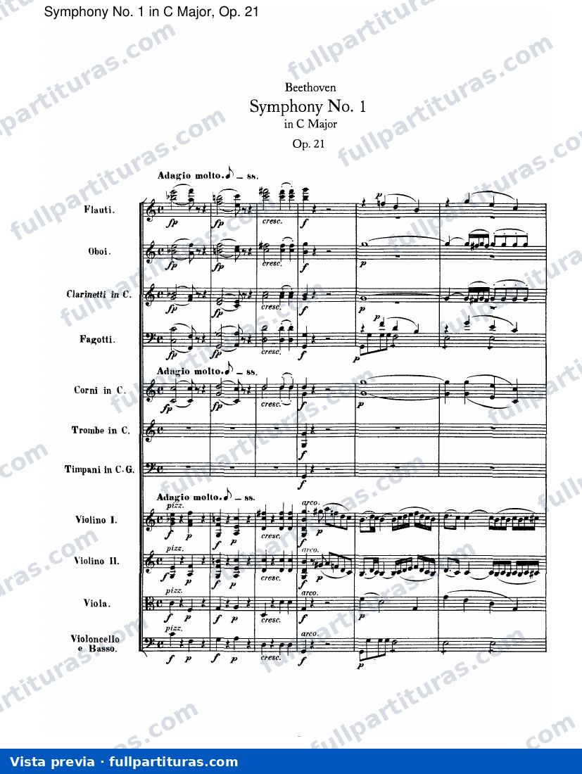 I. Adagio molto-Allegro con brio — preview