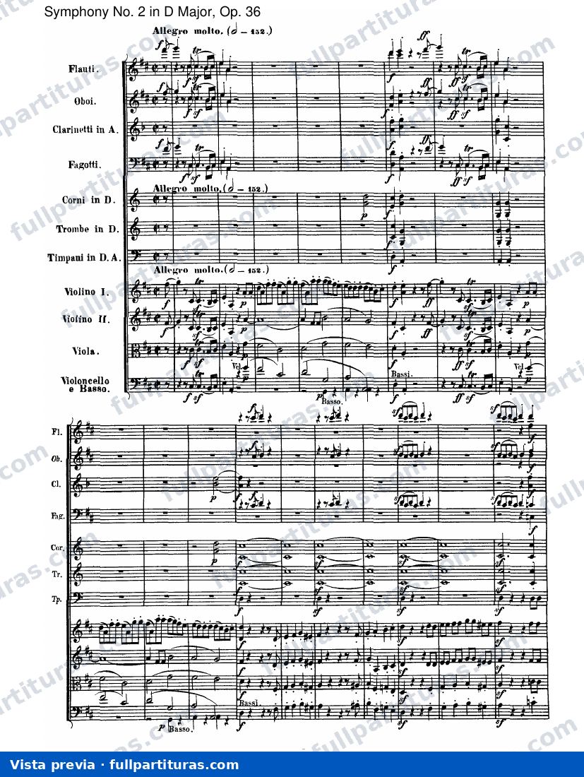 IV. Allegro molto — preview