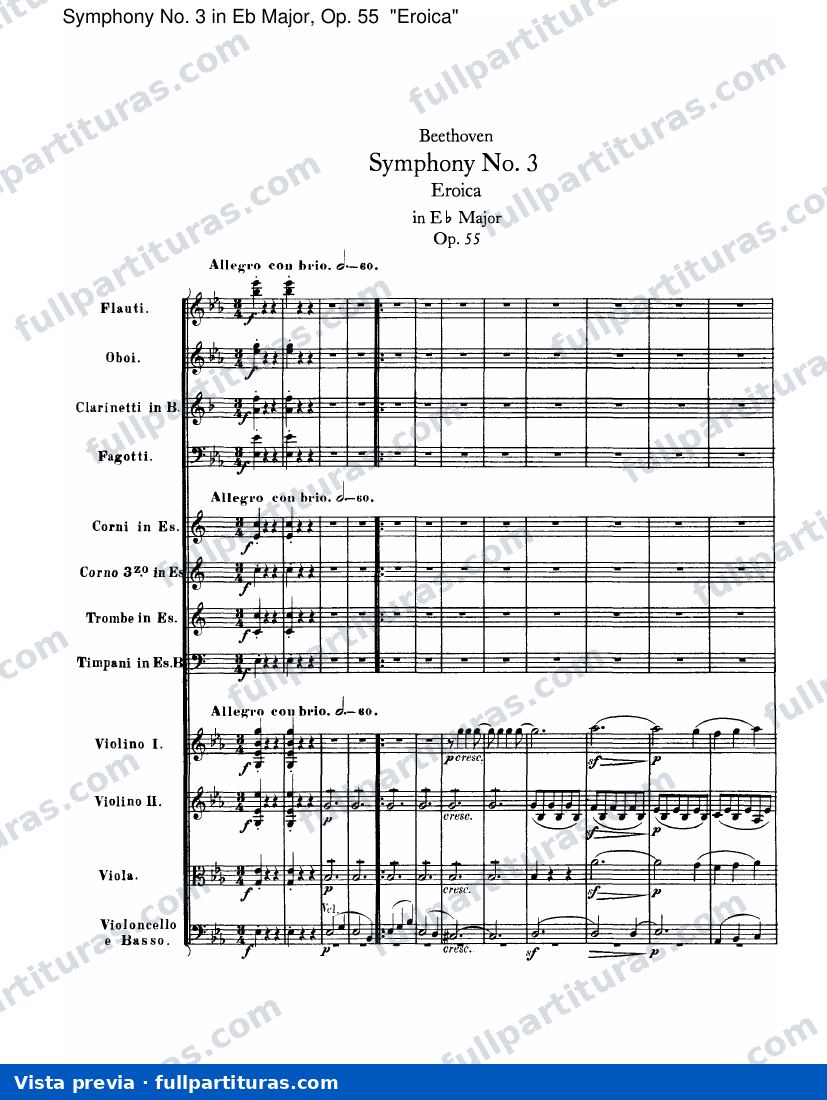 I. Allegro con brio — preview