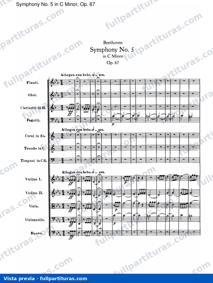 I. Allegro con brio — preview