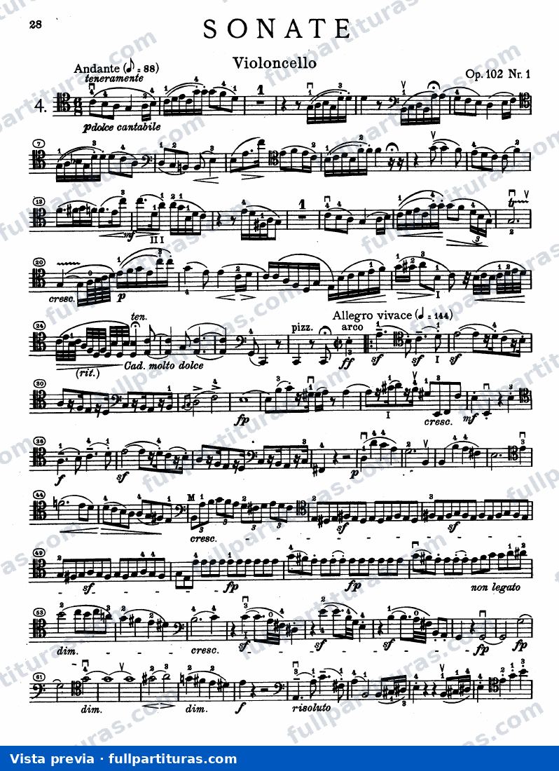Partichella del voloncello — preview