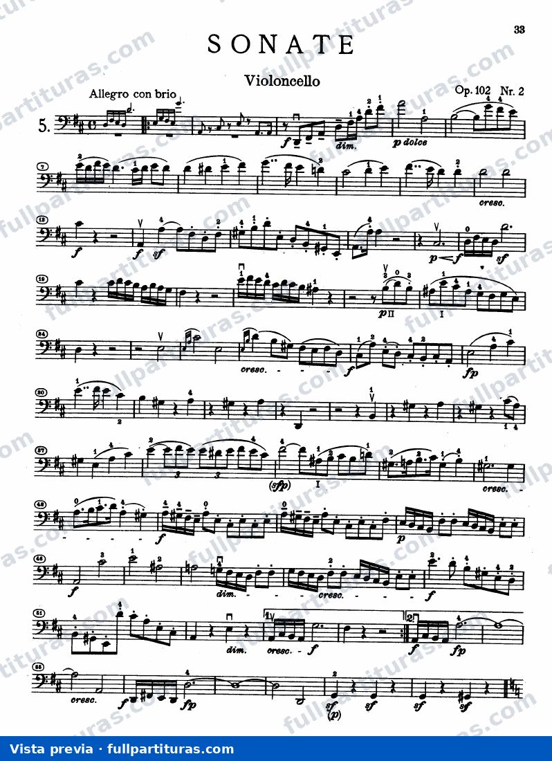 Partichella del voloncello — preview