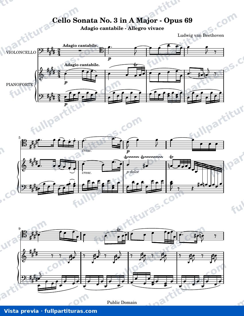 Adagio cantabile - Allegro vivace — preview