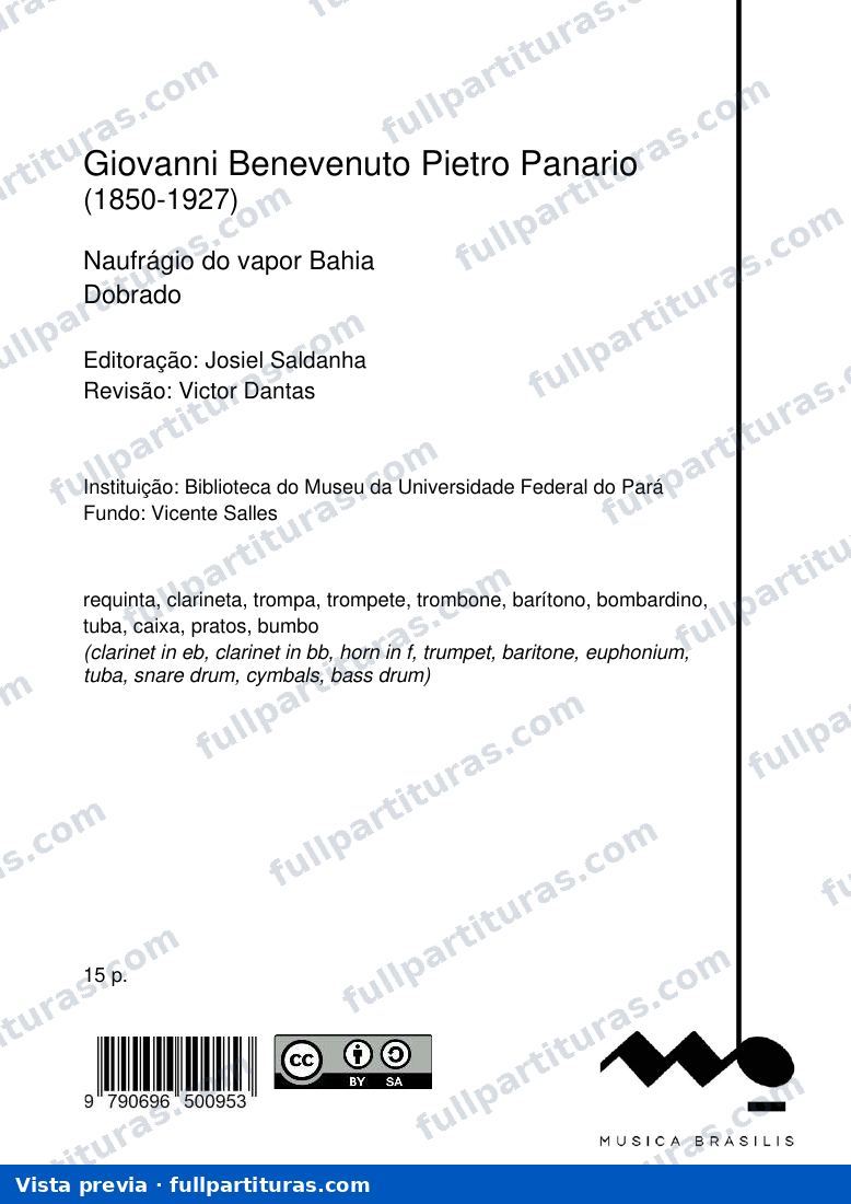 Naufrágio do vapor Bahia — preview