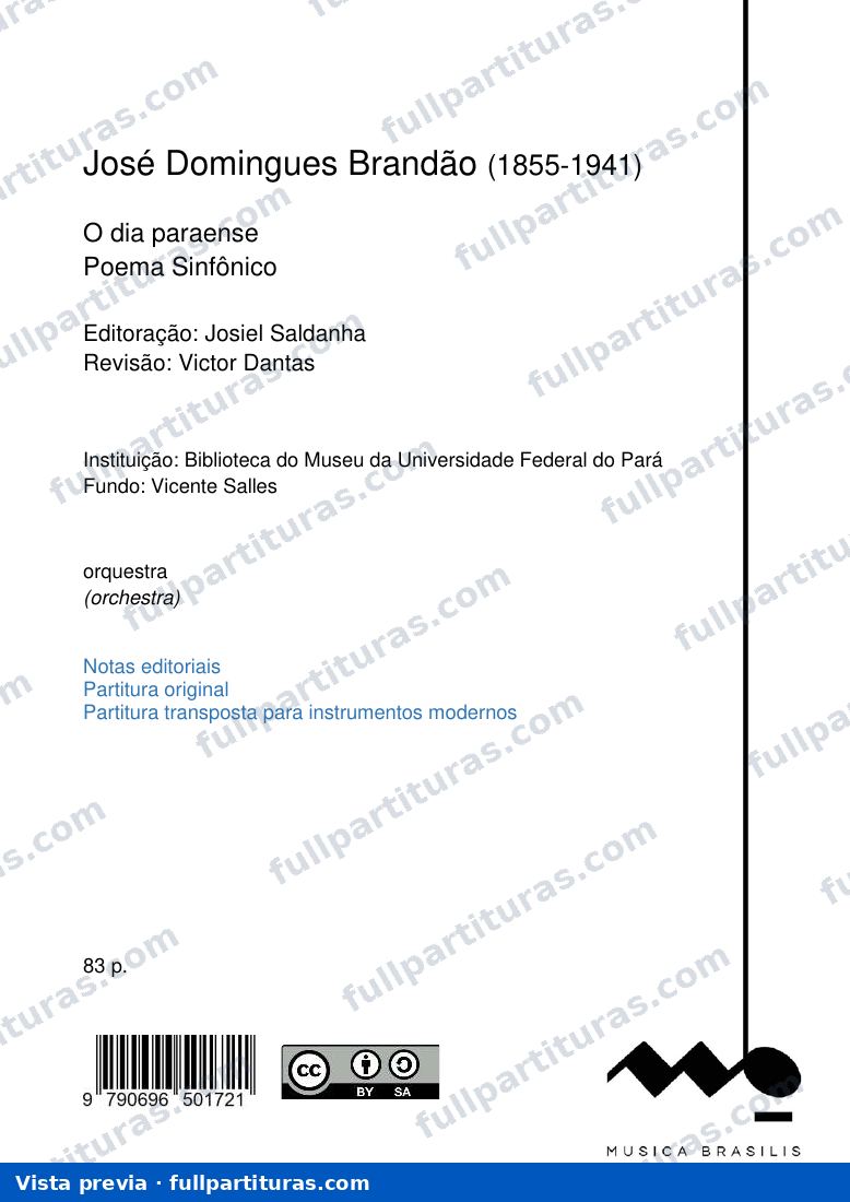 O dia paraense — preview