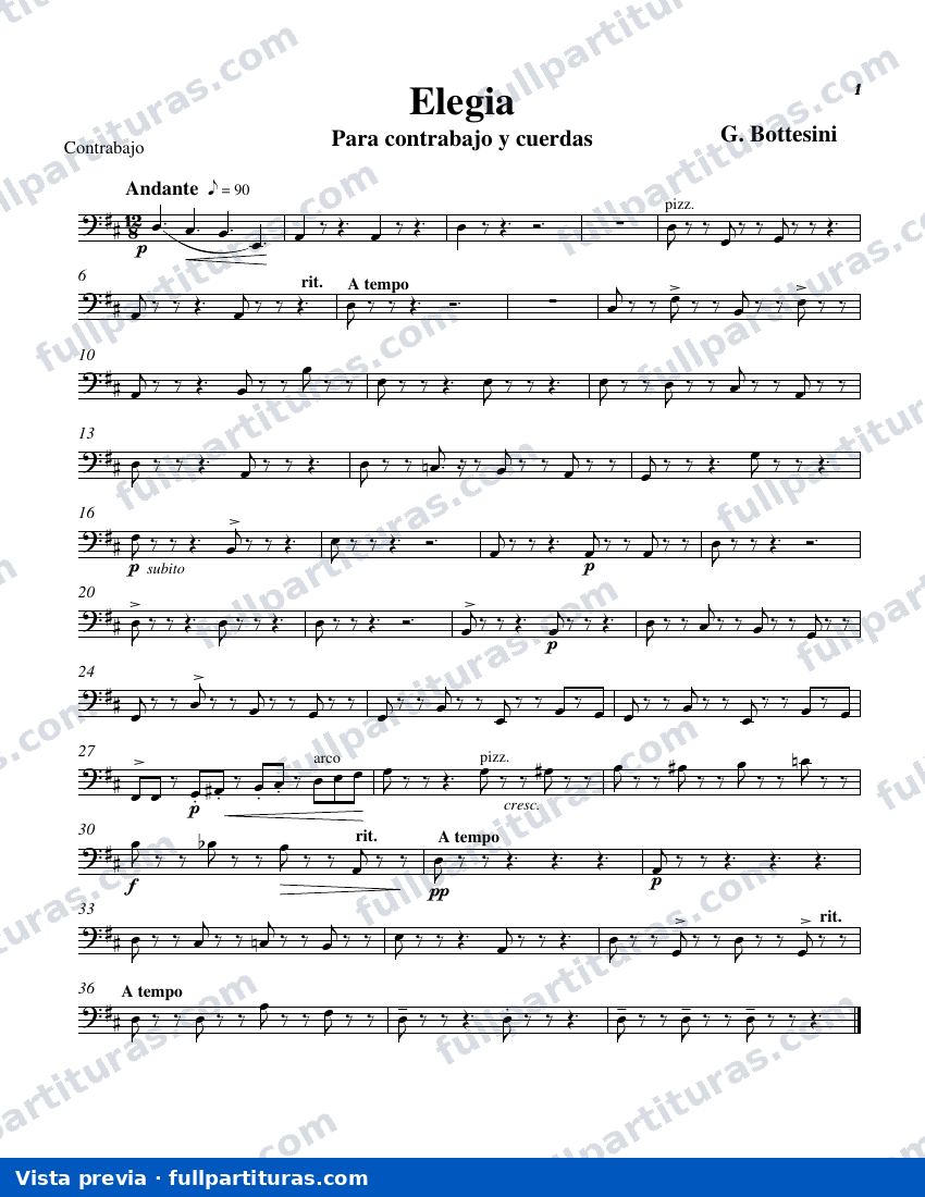 Contrabajo — preview