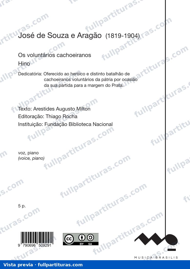 Os voluntários cachoeiranos — preview