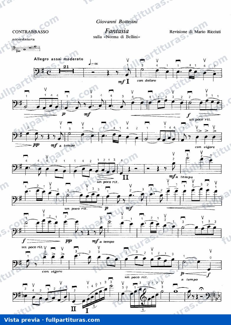 Fantasia sulla Norma di Bellini — preview