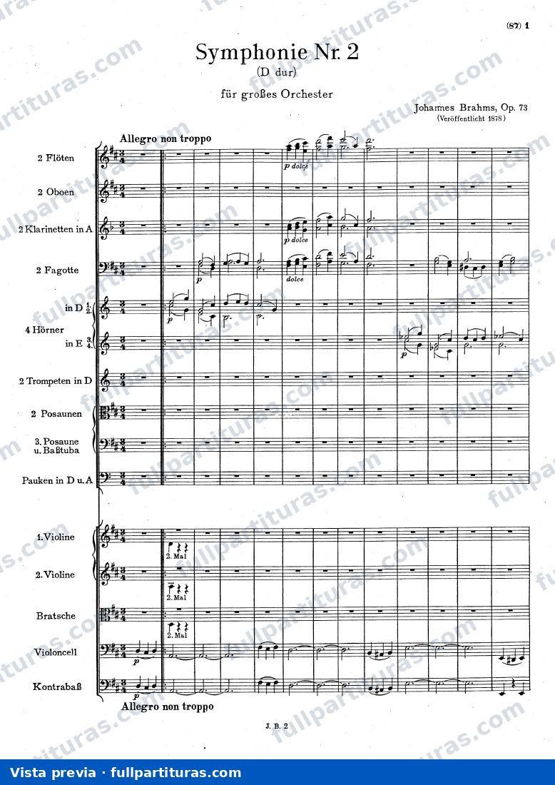 1º Allegro non troppo — preview