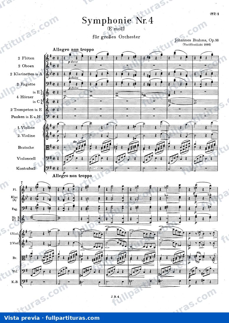 1º Allegro non troppo — preview
