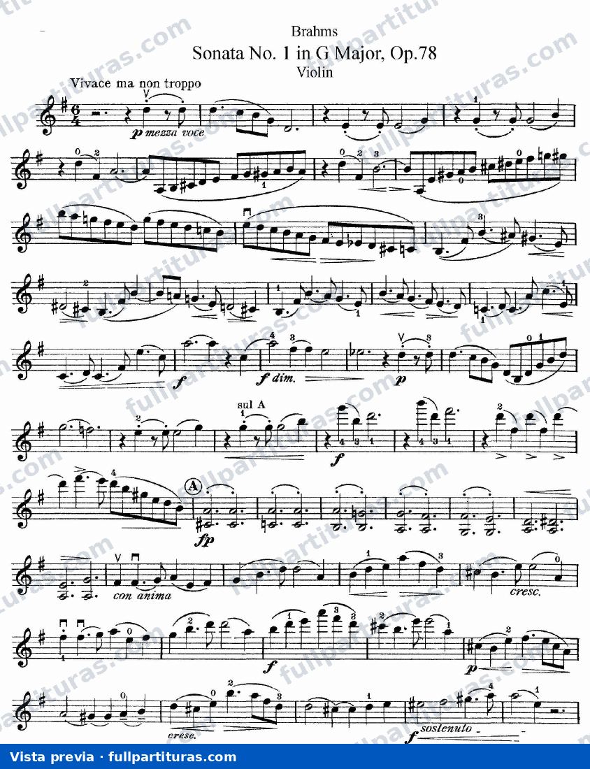 Parte del Violí — preview