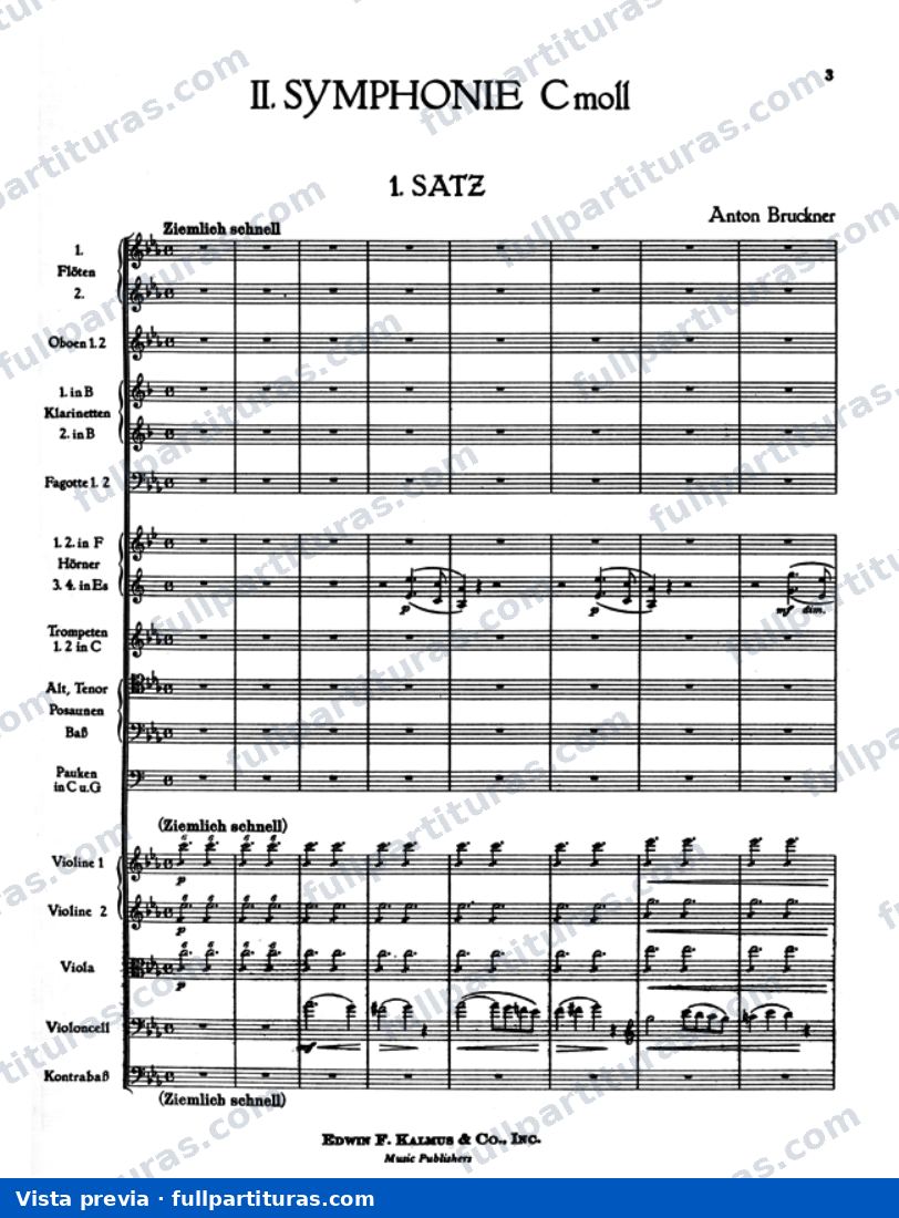 Sinfonía No. 2 en C Minor: 1º Movimiento - Ziemlich schnell — preview