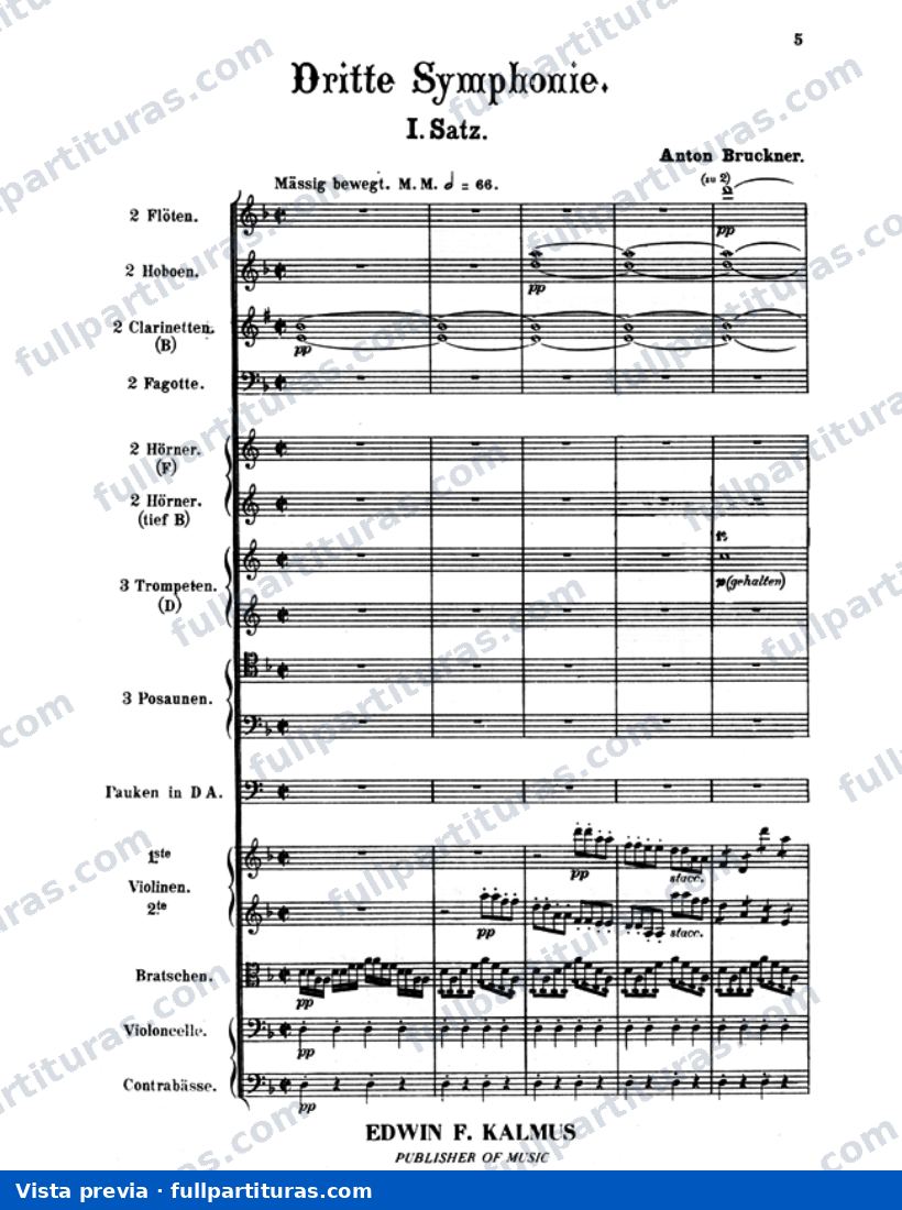 Sinfonía No. 3 en D Minor: 1º Movimiento - Maessig bewegt — preview