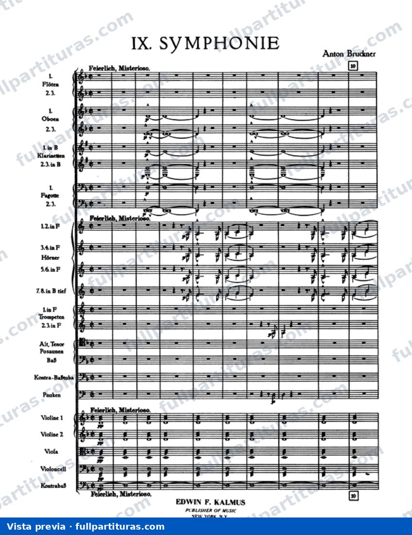 Sinfonía No. 9 en D menor: 1º Movimiento — preview