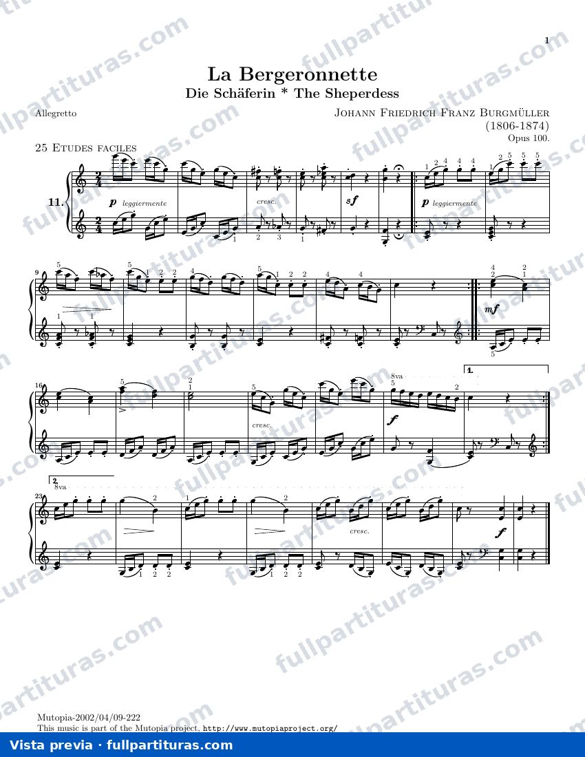 11 bergeronnette — preview