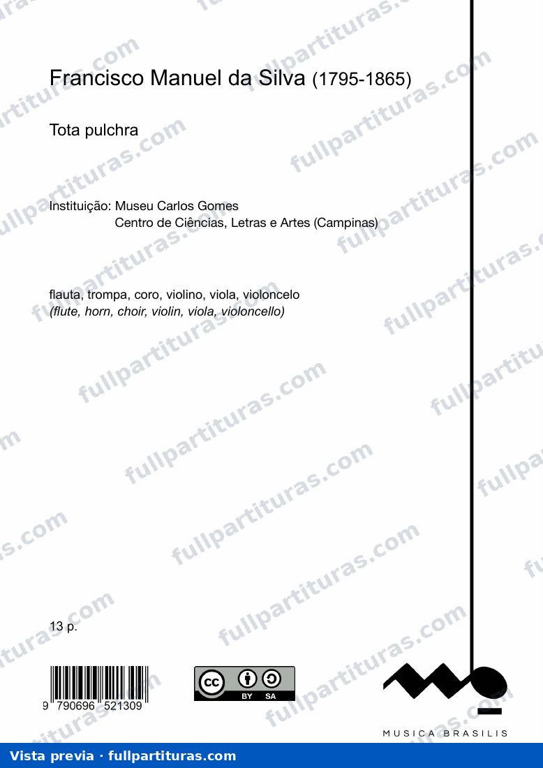 Tota pulchra — preview