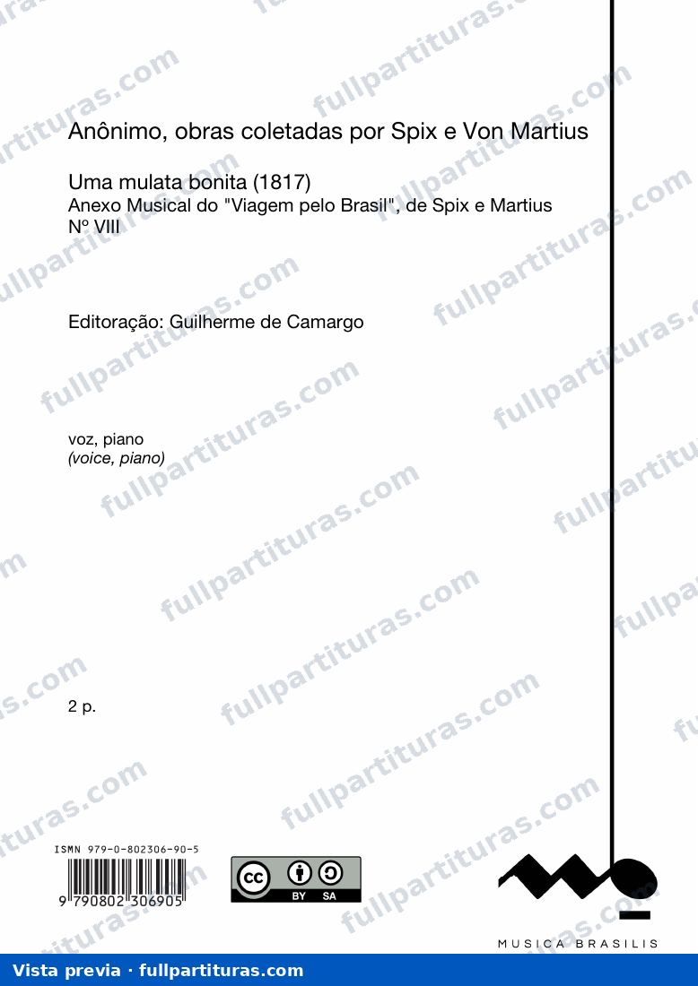 Uma mulata bonita, anônimo — vista previa