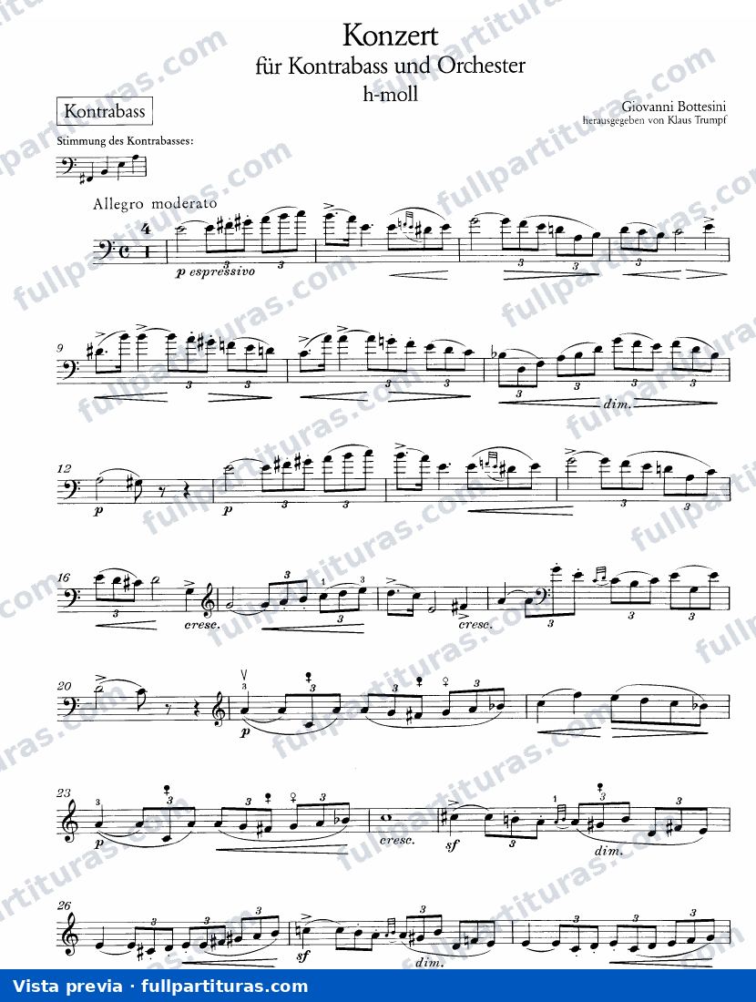 Concierto Nº 2: Partichella del Contrabajo — preview