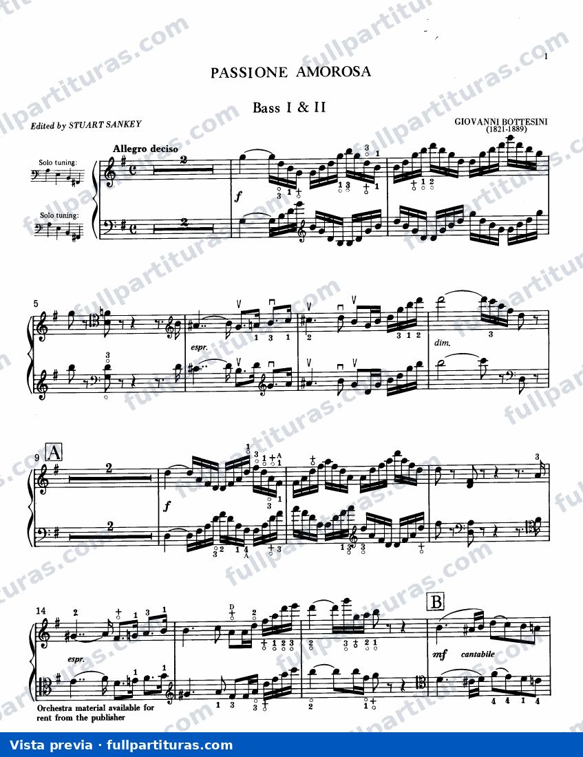 Passione Amorosa: Partichella de Contrabajo I y II — preview