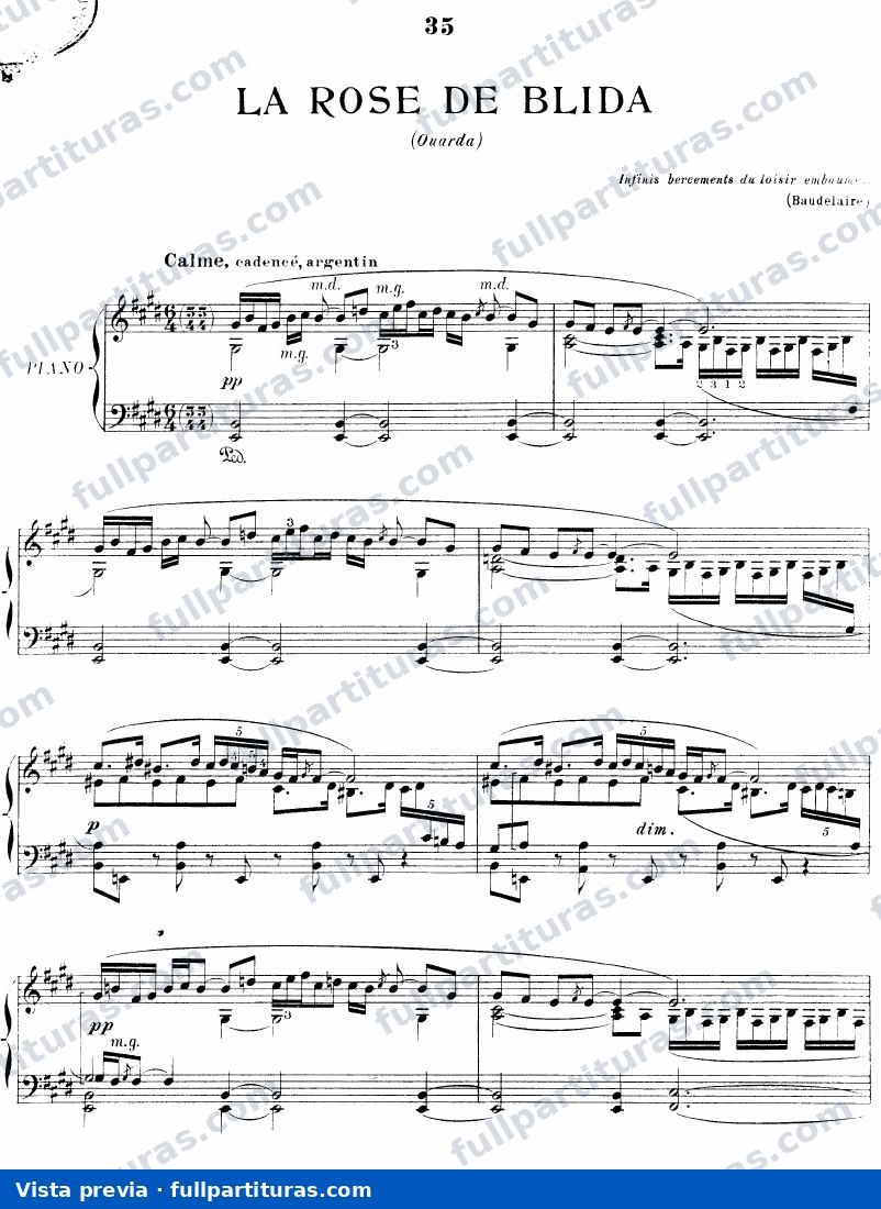 Rose de Blida — preview