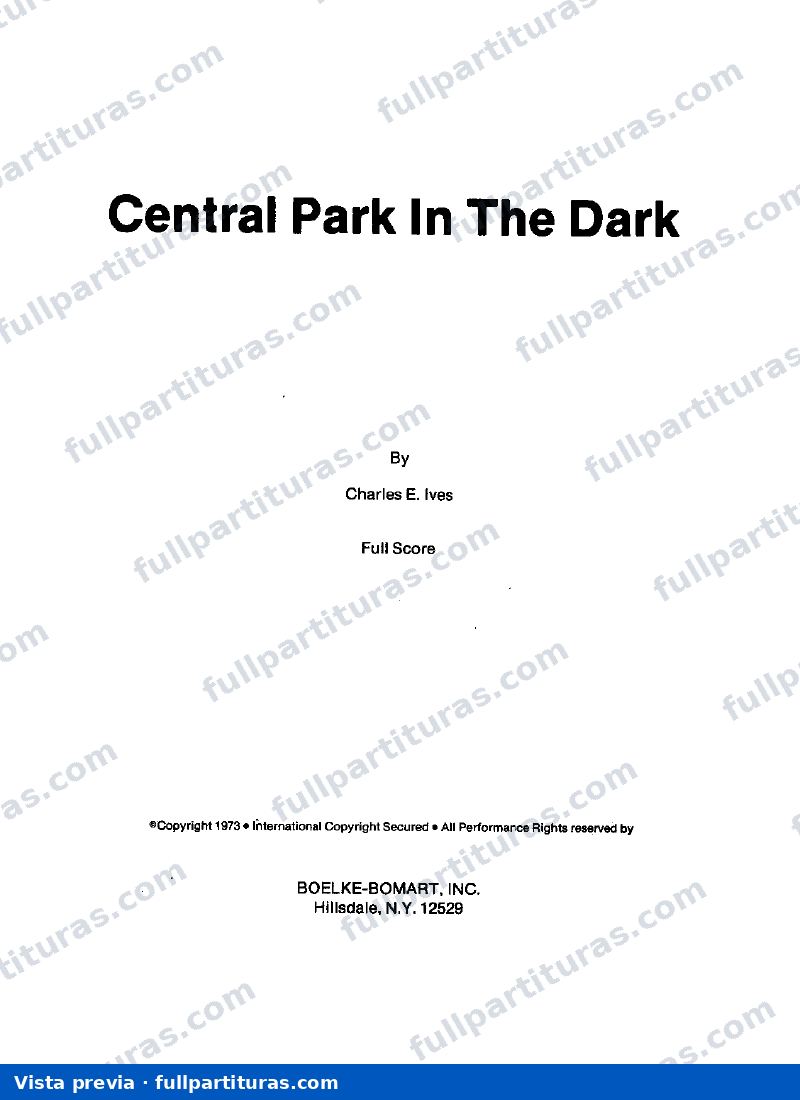 Central Park In The Dark — Vorschau