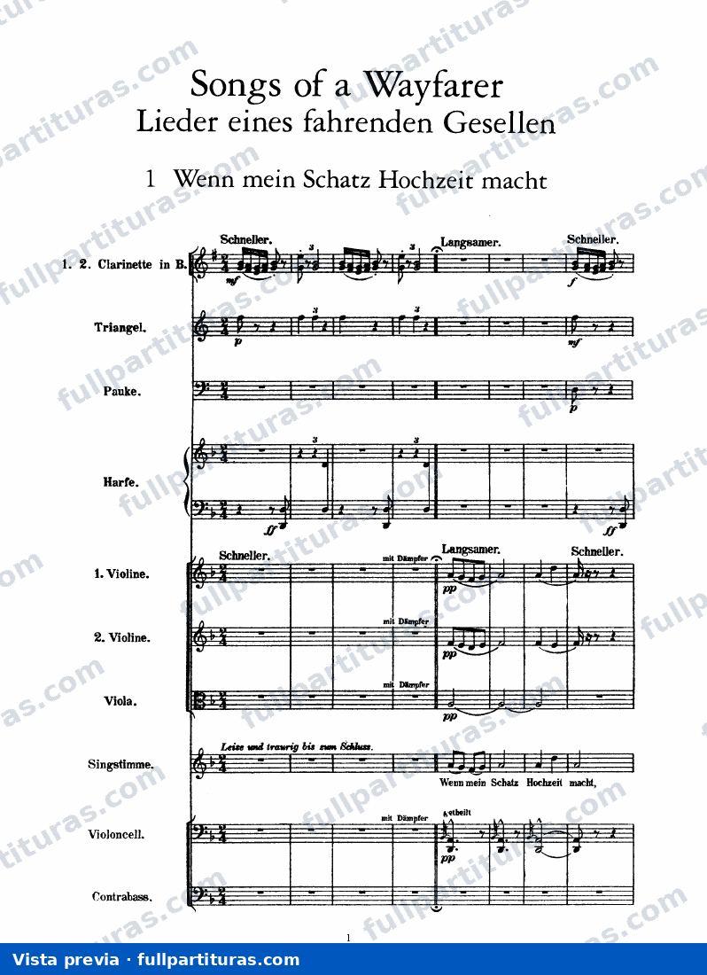 Lieder eines fahrenden Gesellen — preview