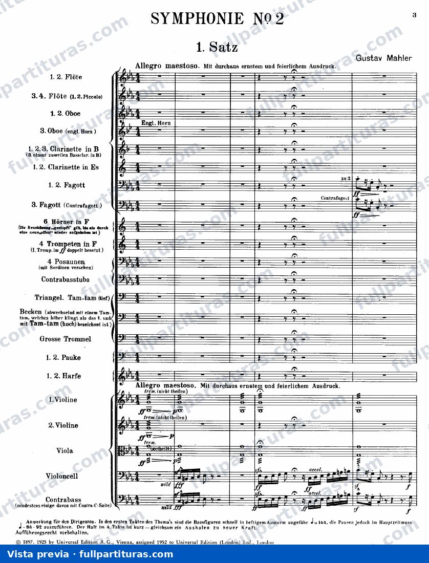 Sinfonía Nº 2: I. Allegro maestoso — preview