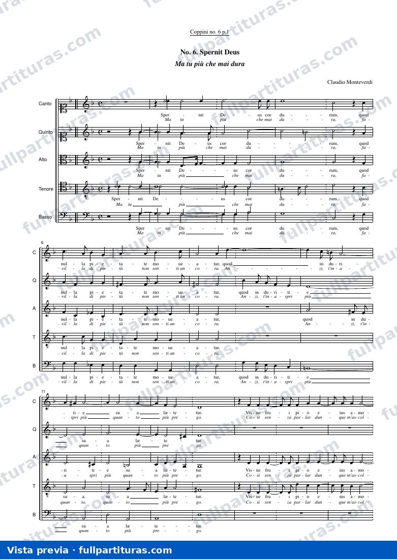 Cop6.pdf — preview