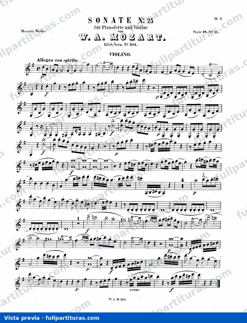 Parte del violín — preview