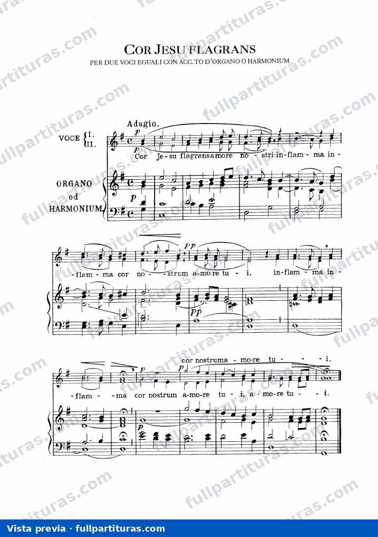 Cor Jesu Flagrans — preview