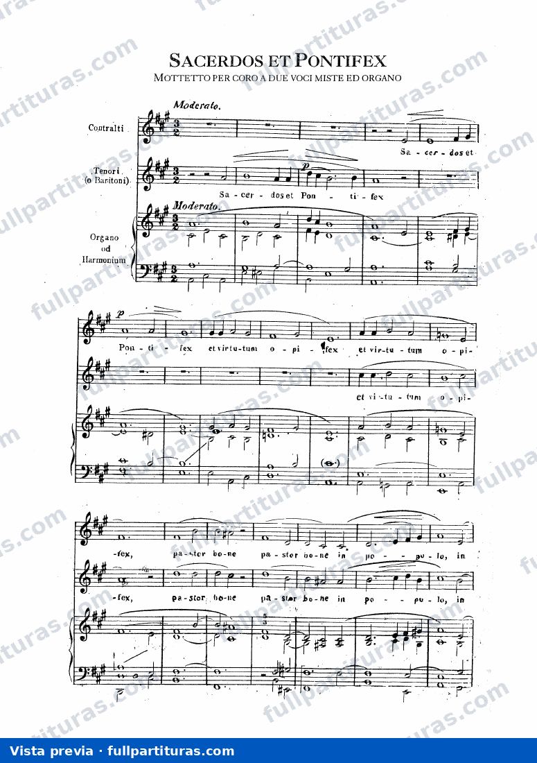 Sacerdos et Pontifex — preview