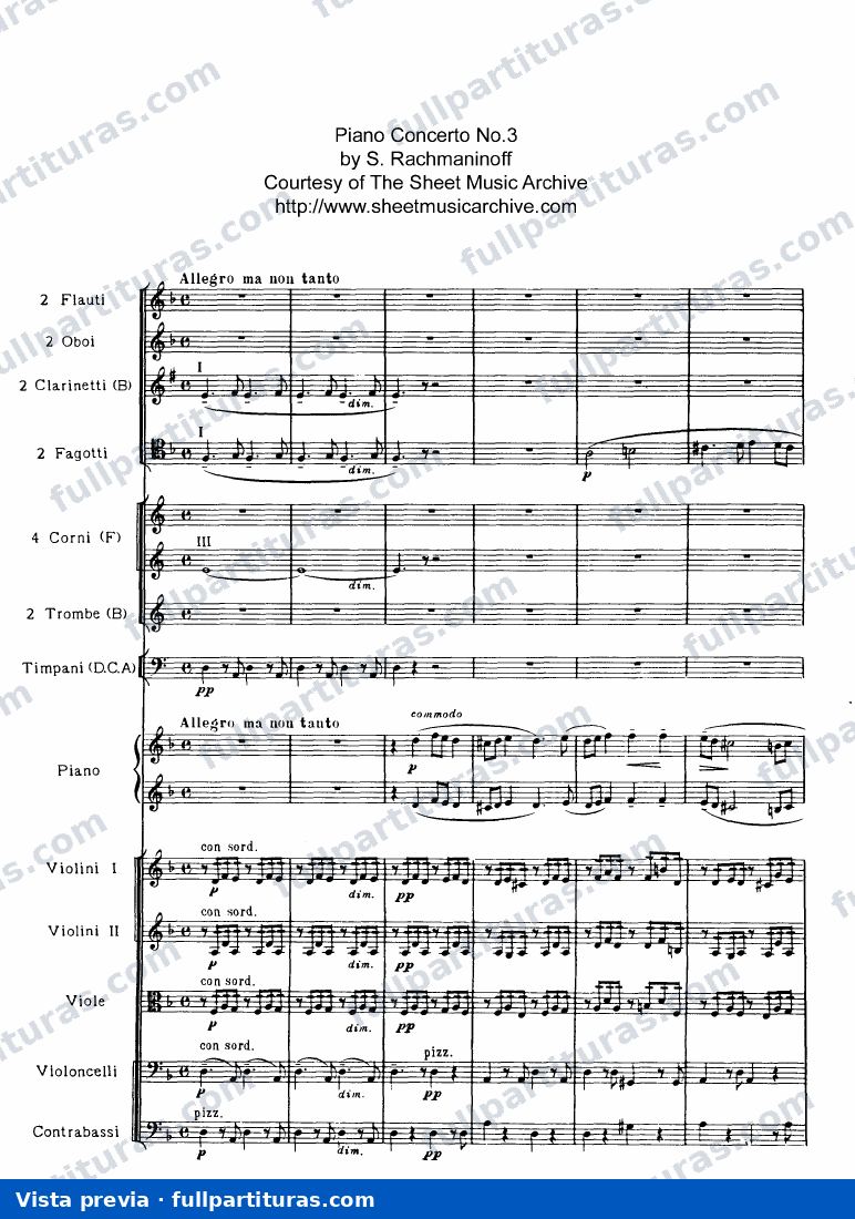 Piano Concerto No.3, Op.30 — preview
