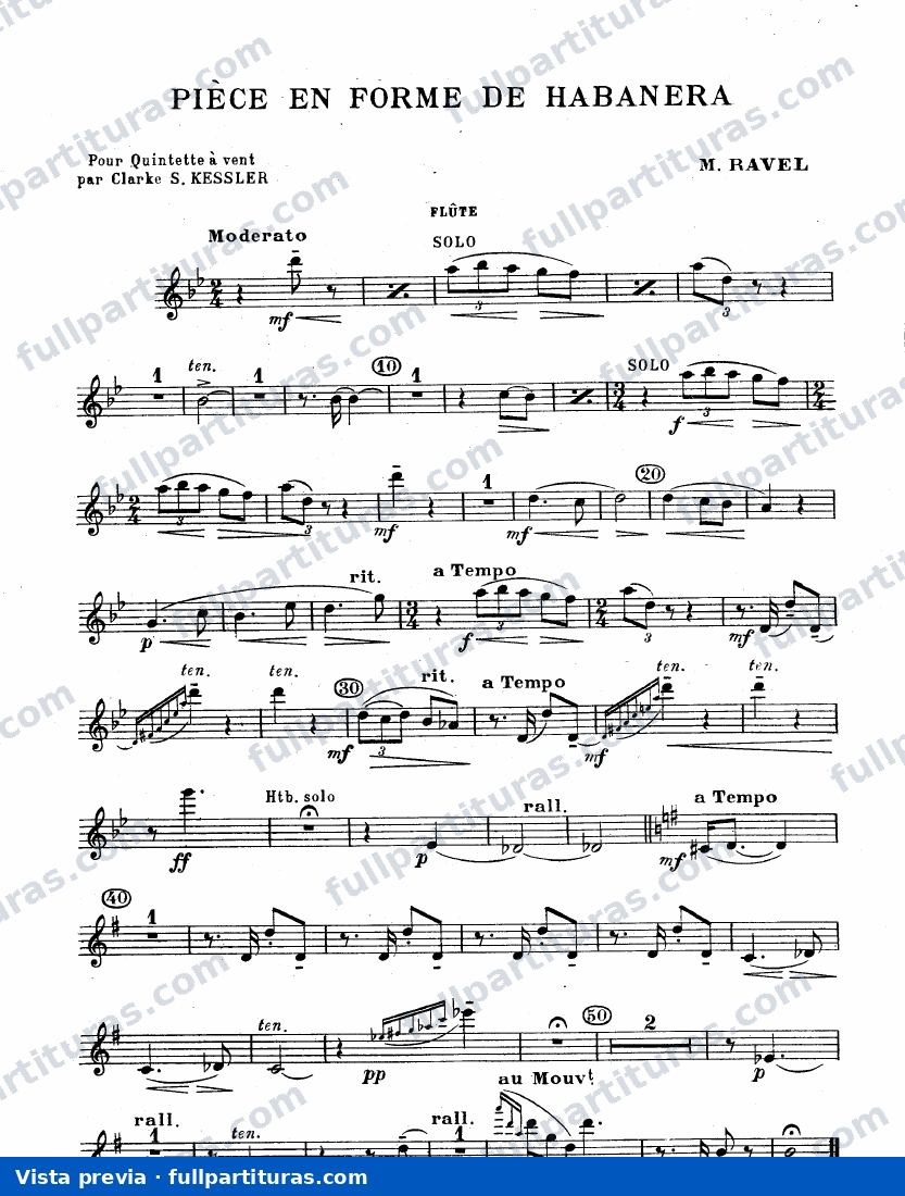 Versión para flauta, oboe, clarinete, trompa y Fagot — preview