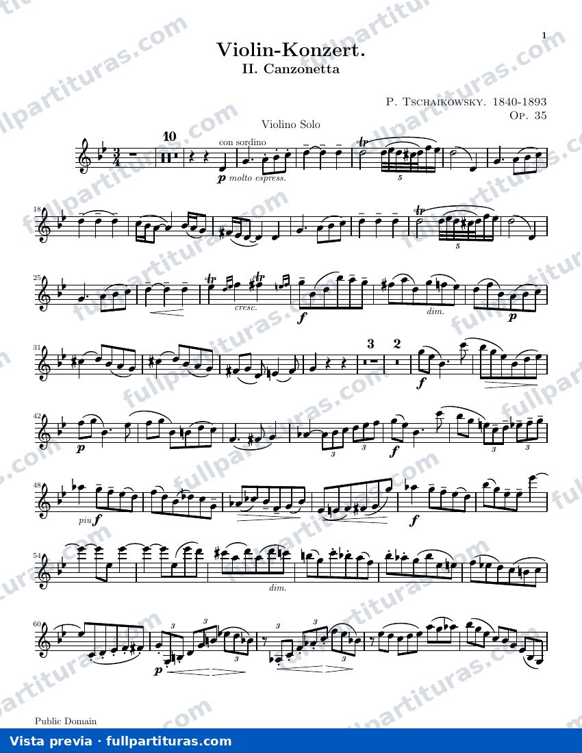 Violín Solista — preview