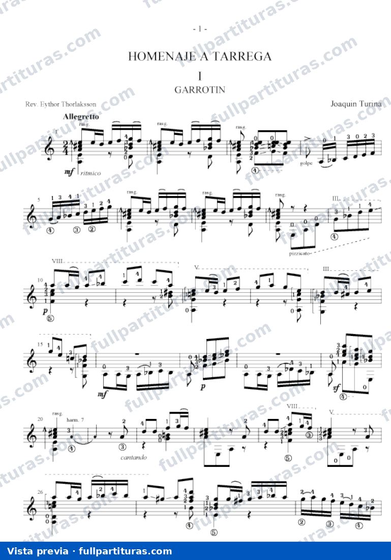 Homenaje a Tärrega: Garrotin - Soleares — preview