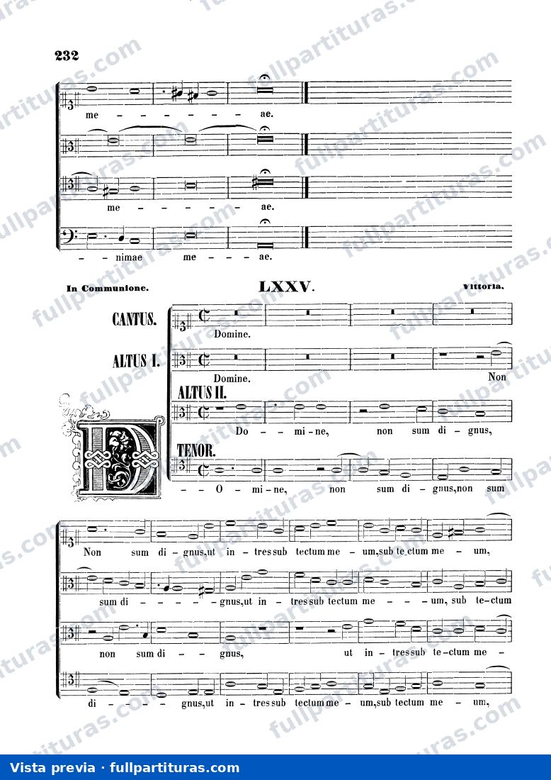 Domine, non sum dignus — preview