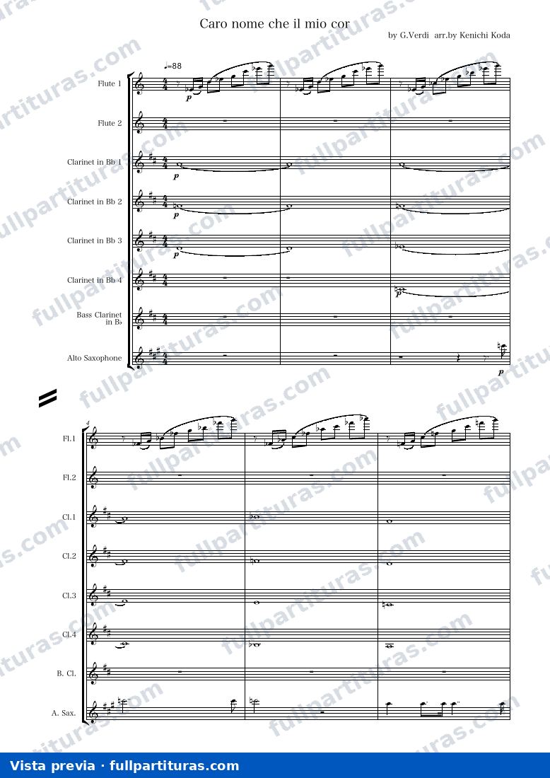 Rigoletto: Caro nome che il mio cuor — preview