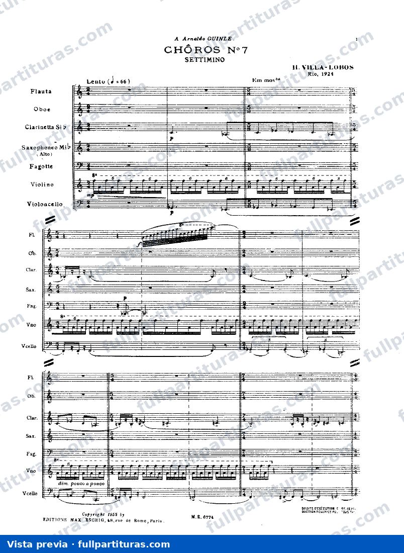 ChÃ´ros NÂº7, W199 — preview