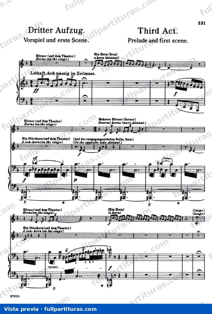 Götterdämmerung El Ocaso de los Dioses: Acto III — preview